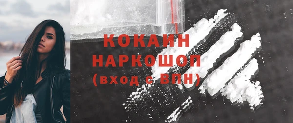 мдпв Магас