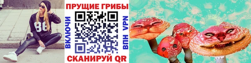 как найти закладки  Новоаннинский  Галлюциногенные грибы Magic Shrooms 